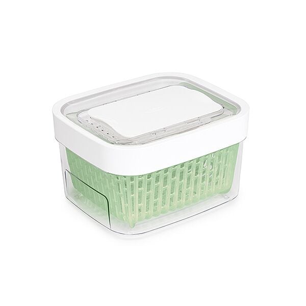 GreenSaver Produce Keeper (1.6 Qt) G2