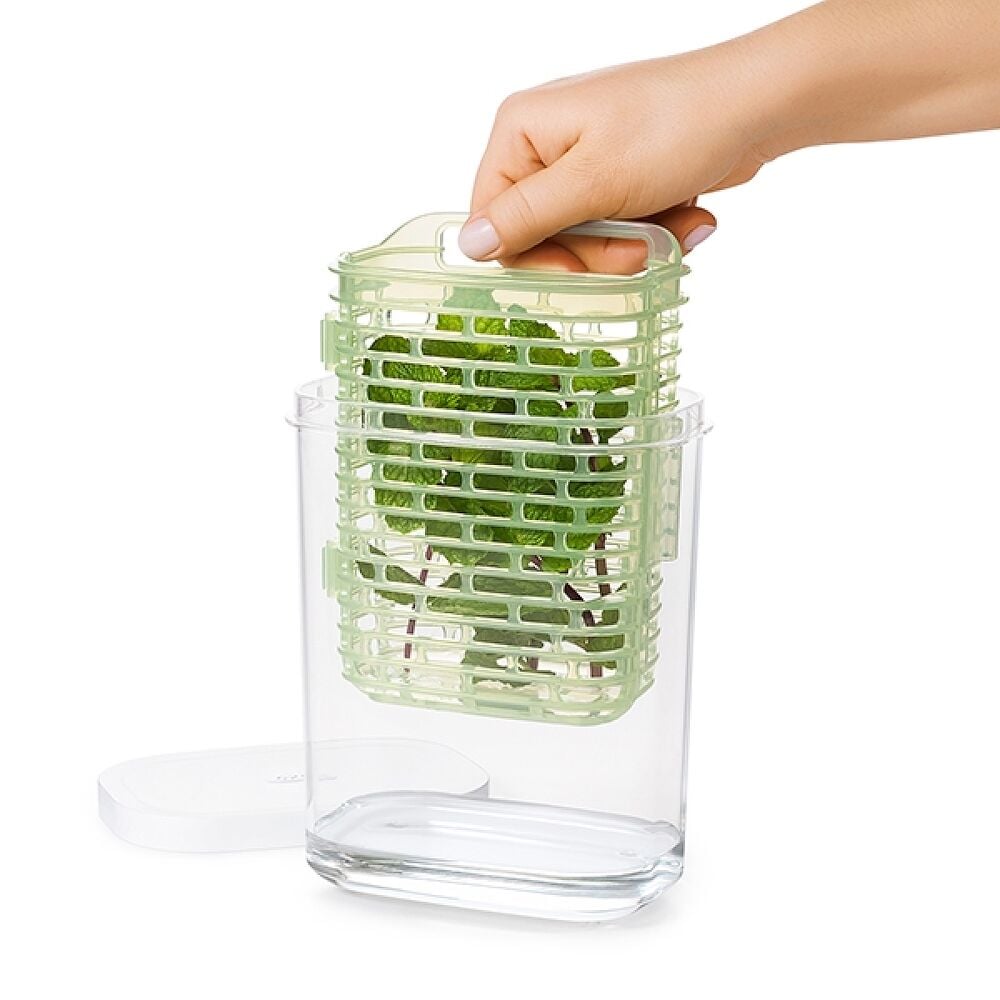 GreenSaver Herb Keeper - Small Z4