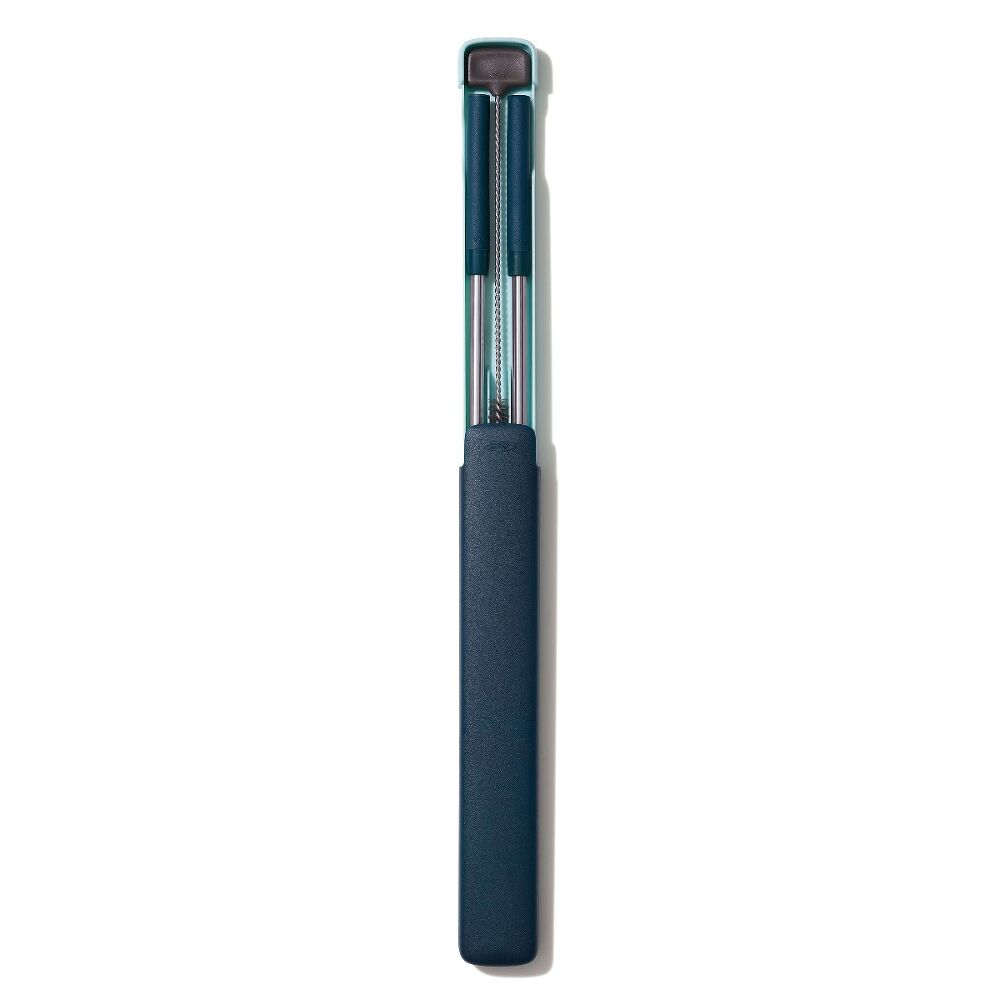 4-Piece Reusable Straw and Brush Set with Case R3