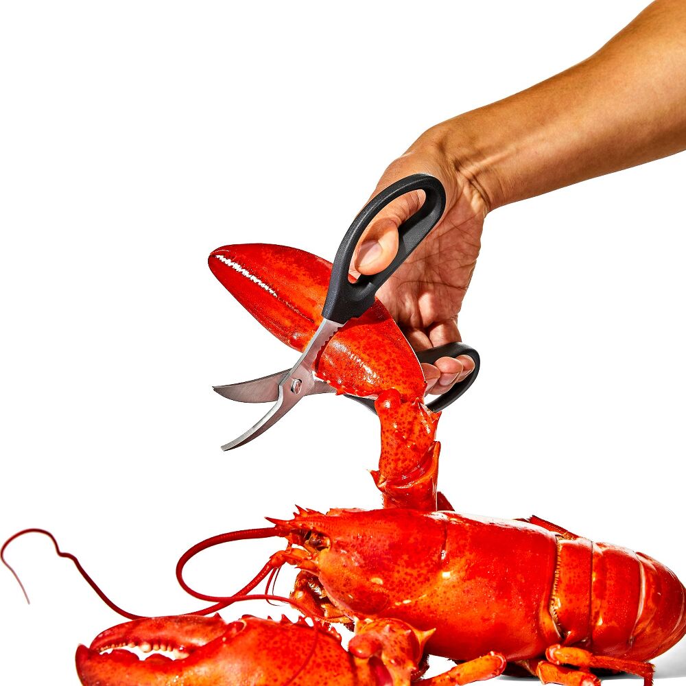 Seafood Scissors T8