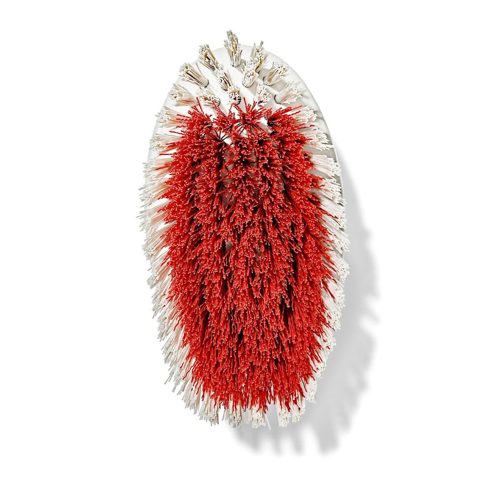 All-Purpose Scrub Brush 2-Pack U6