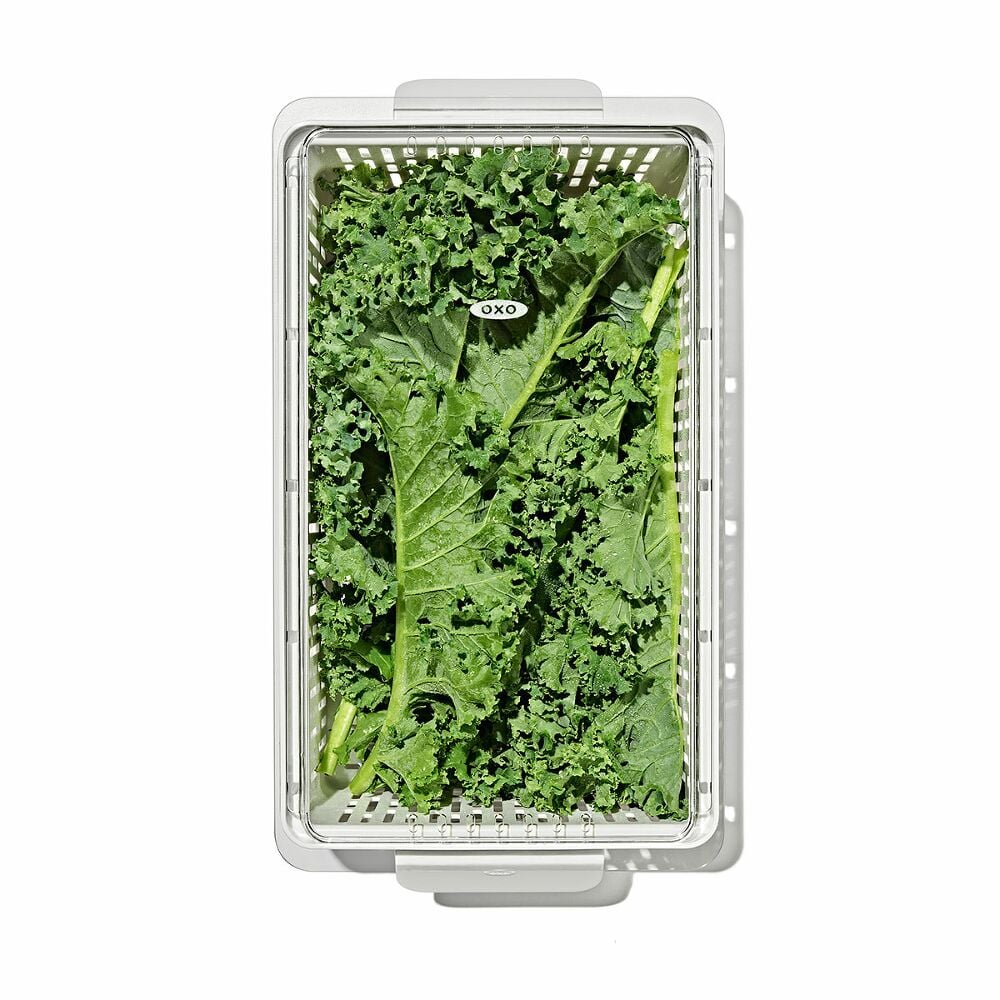 Produce Saver - Medium Bin N2