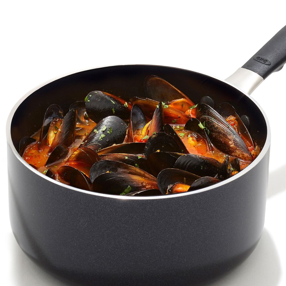 Non-Stick Pro Every Day 1.6 Qt Saucepan with Lid L5