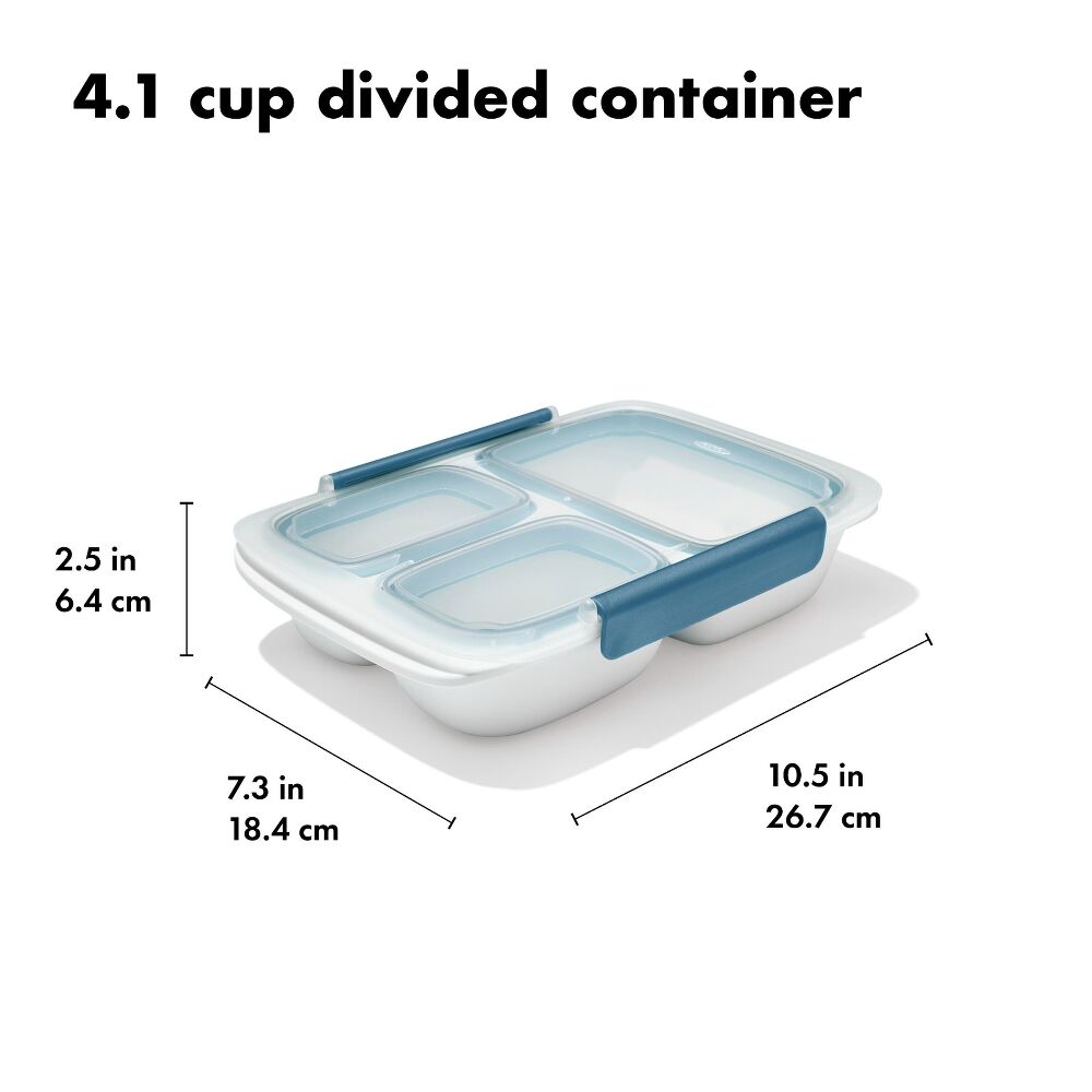 Prep & Go 4.1-Cup Divided Container - Ocean Blue D0