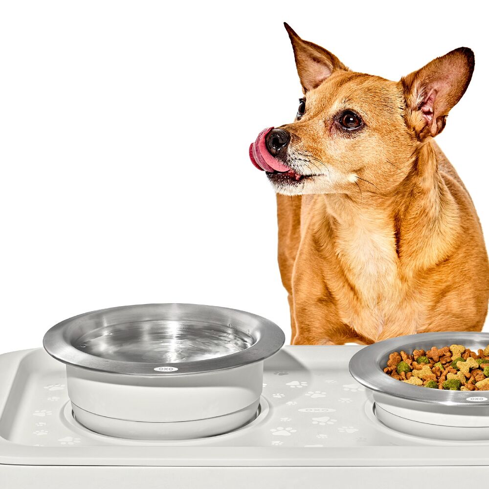 OXO Pet Nonslip Bowl - Large, 4 Cups / 950 mL V4