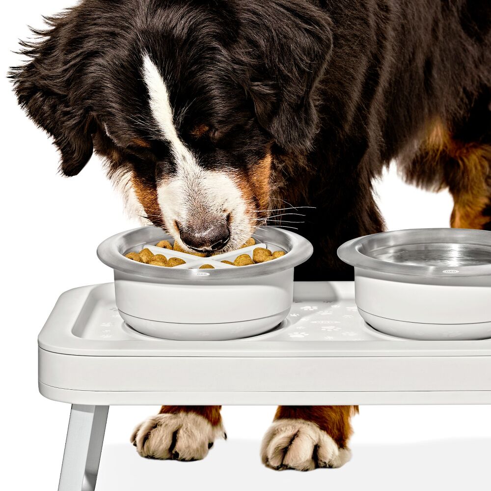 OXO Pet Easy-Clean Slow Feeder - Medium, 2 Cups/489 mL G3