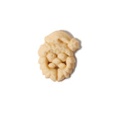 Christmas Cookie Press Disk Set Z0