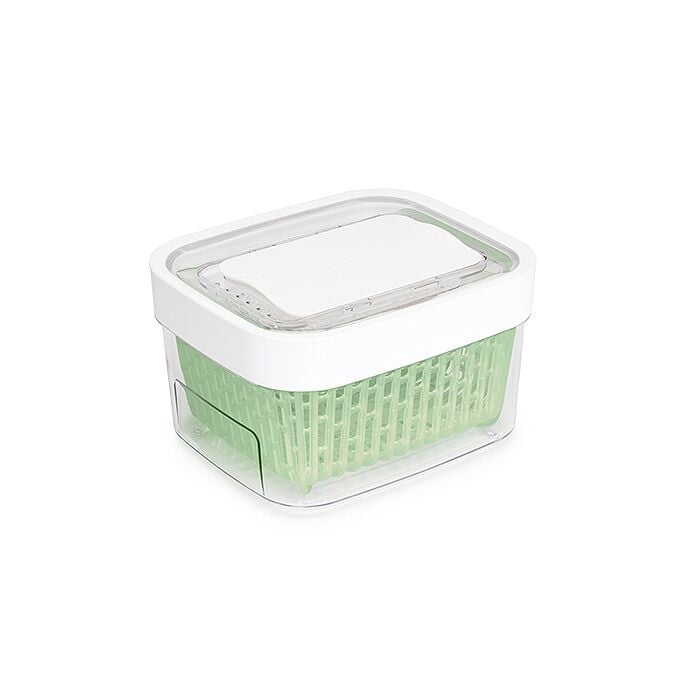GreenSaver Produce Keeper (1.6 Qt) G2
