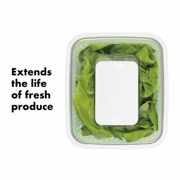 GreenSaver Produce Keeper (4.3 Qt) R8