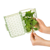 GreenSaver Herb Keeper - Small Z4