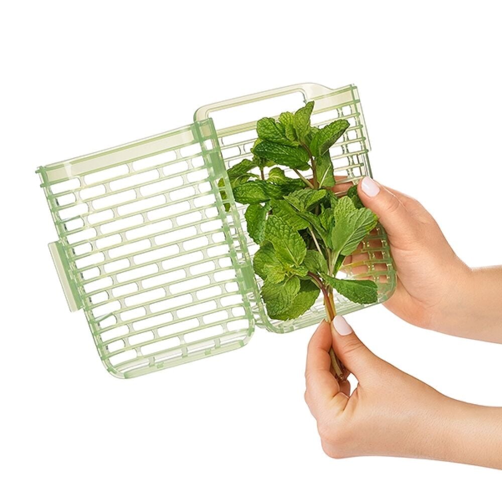 GreenSaver Herb Keeper - Small Z4
