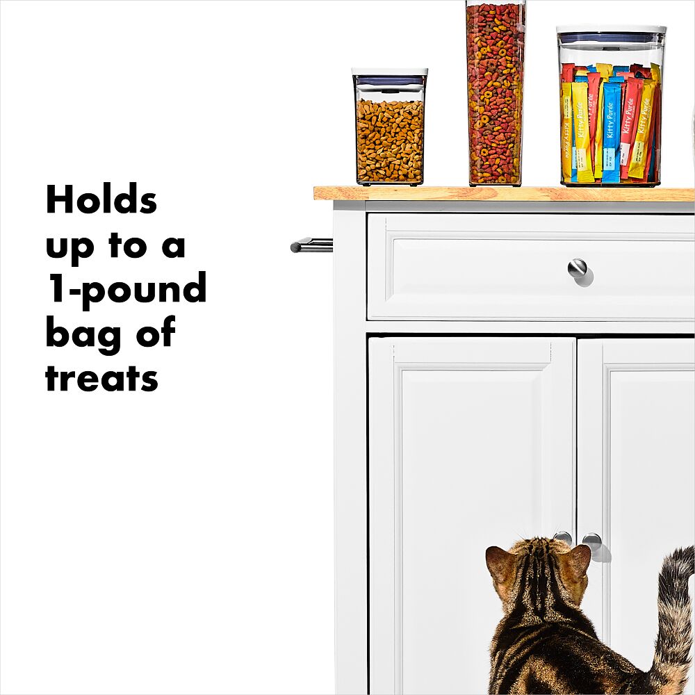 OXO Good Grips Pet POP Container – 1.1 Qt/1 L D6