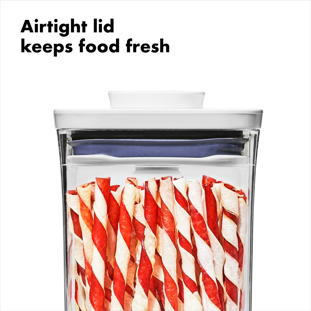 OXO Good Grips Pet POP Container – 1.1 Qt/1 L D6