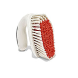 All-Purpose Scrub Brush 2-Pack D6