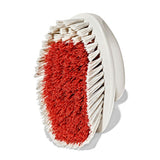 All-Purpose Scrub Brush 2-Pack D6