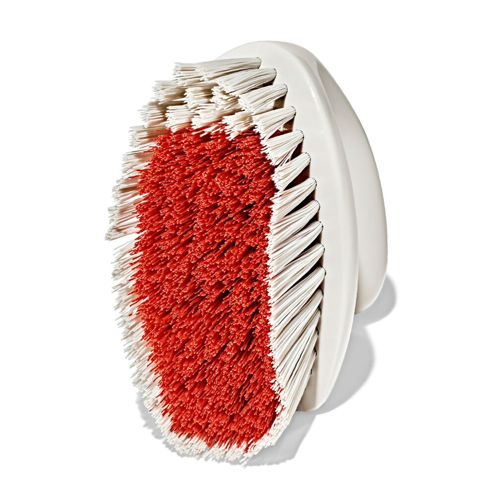 All-Purpose Scrub Brush 2-Pack D6