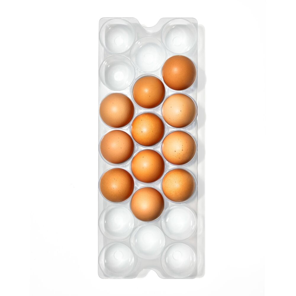 Refrigerator Egg Bin With Removable Tray R2