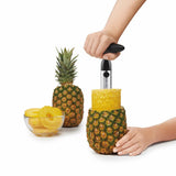 Stainless Steel Pineapple Slicer J4