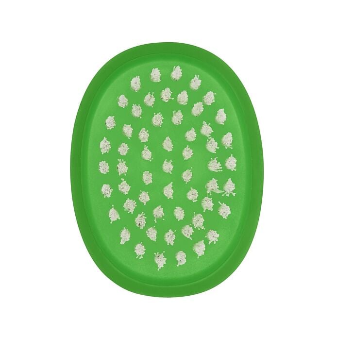 Vegetable Brush Z1