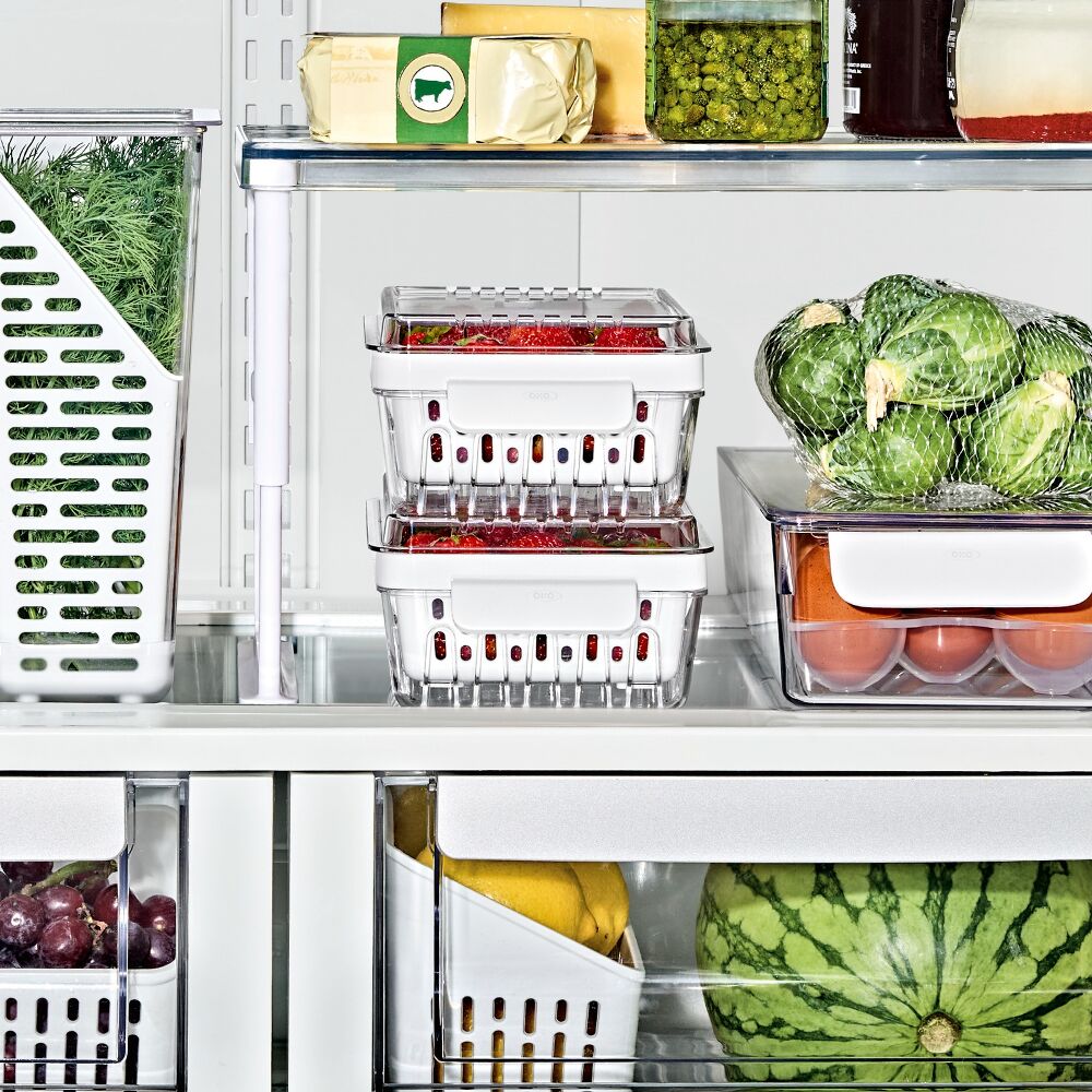 Produce Saver - Berry Keeper 2-Piece Set T7