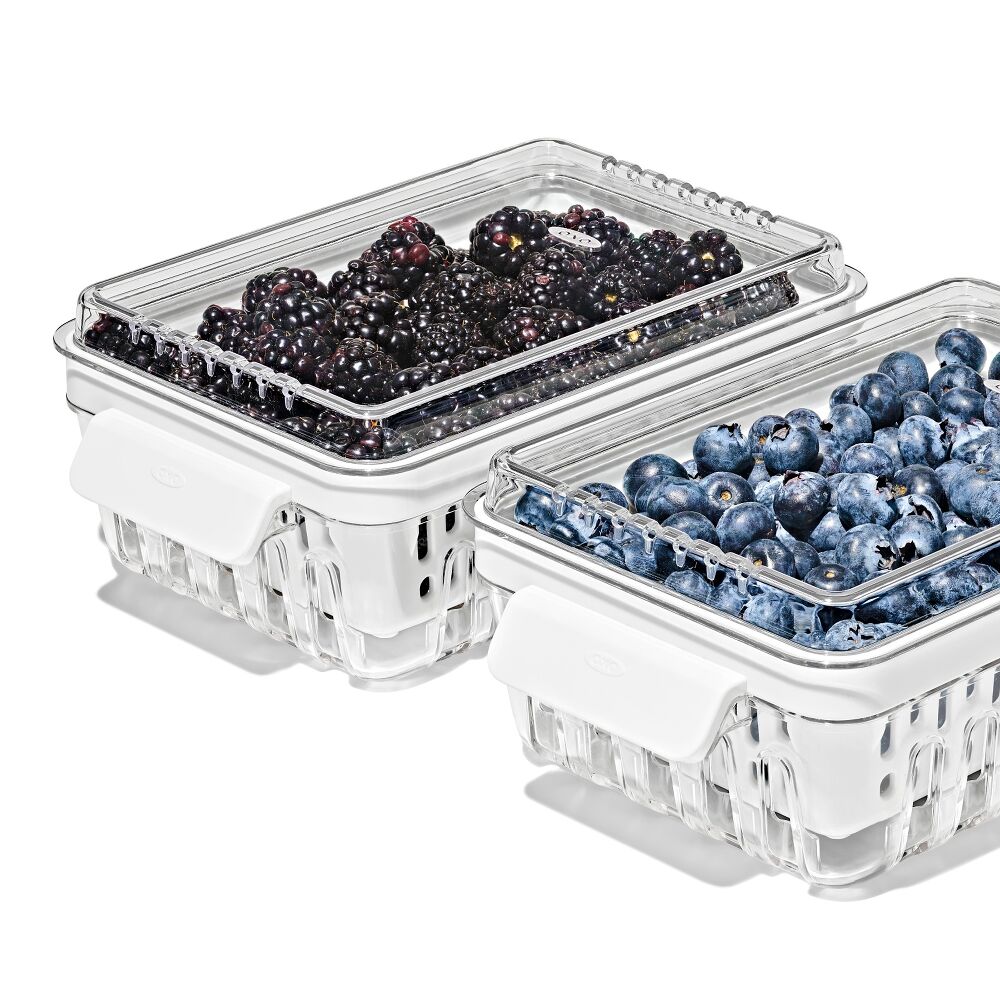 Produce Saver - Berry Keeper 2-Piece Set T7