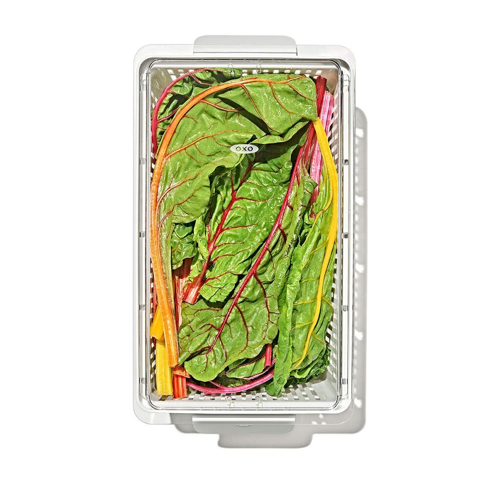 Produce Saver - Large Bin Y5