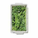 Produce Saver - Medium Bin N2