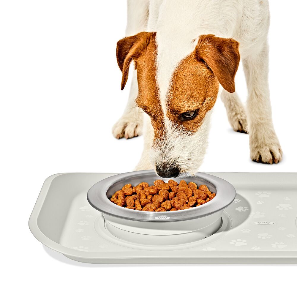 OXO Pet Nonslip Bowl - Small, 1 Cup / 240 mL G6