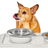 OXO Pet Nonslip Bowl - Medium, 2 Cups / 480 mL F2