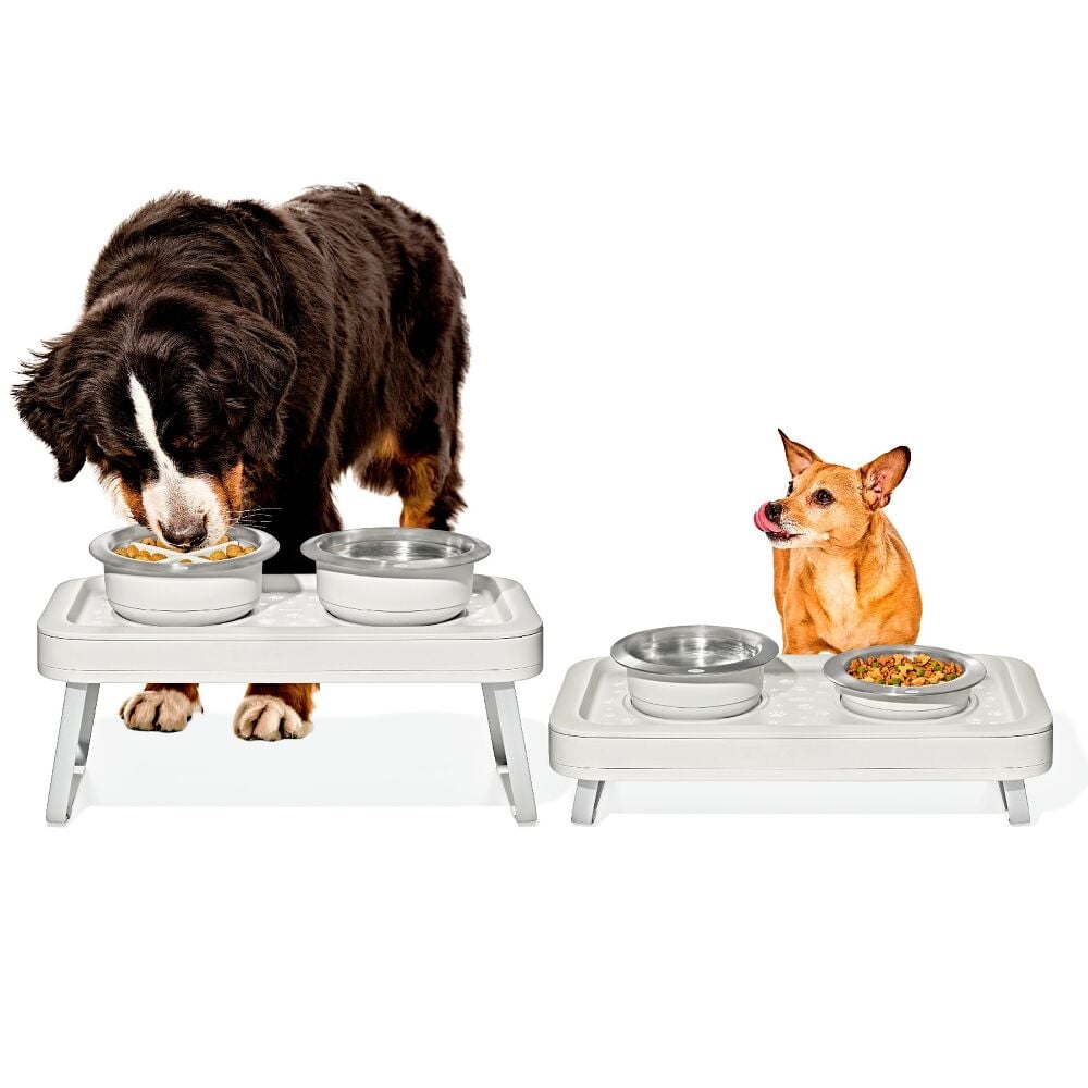 OXO Pet Adjustable Elevated Feeder Y8